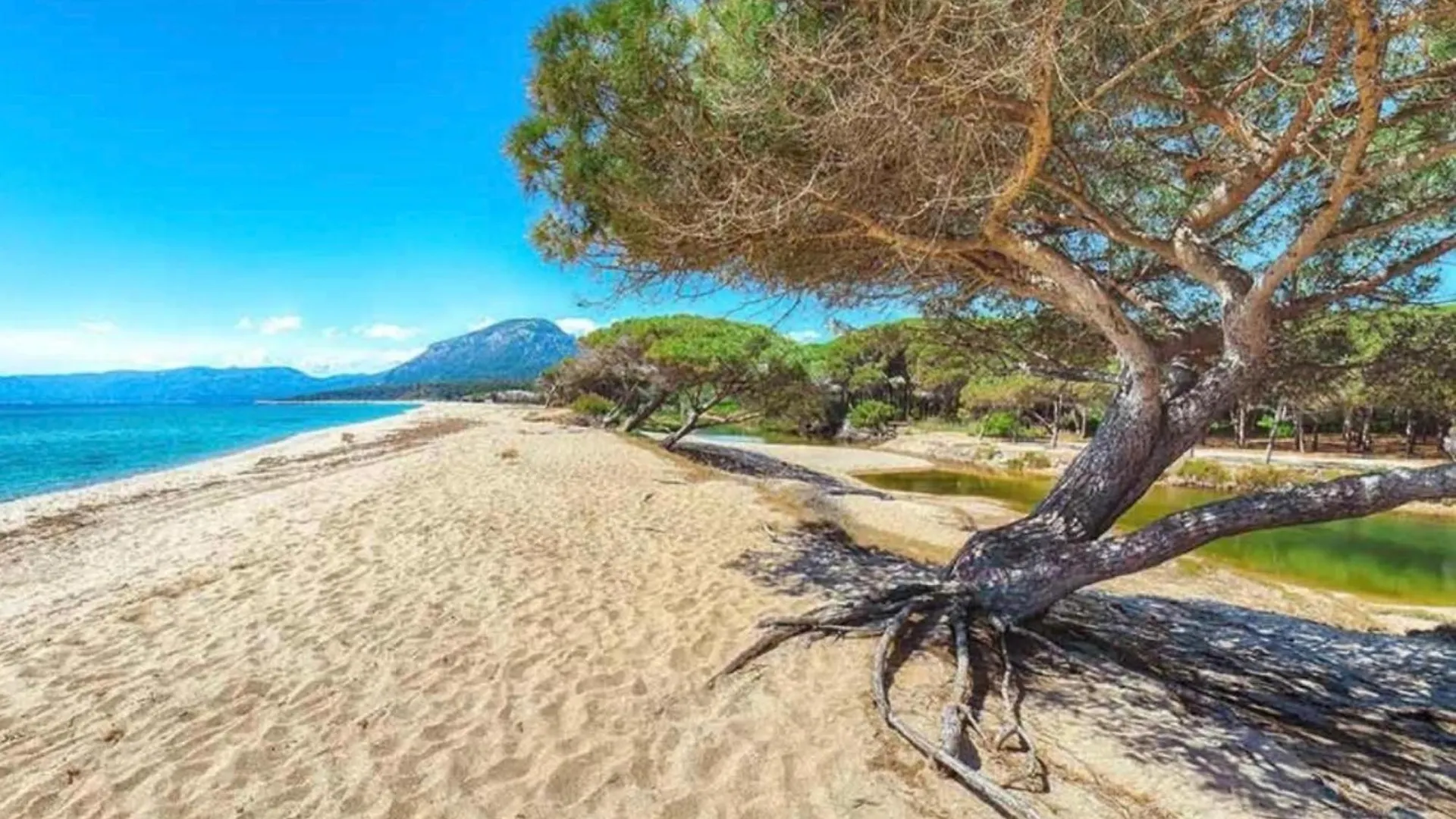 Casa Su Barone Villa Marina di Orosei Holiday home